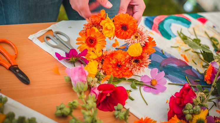 Den 11-12 augusti är det dags för Trädgårdsgillet i Landskrona! Festen för alla som älskar växter, blommor och odling. Foto: Yazan Smadi.