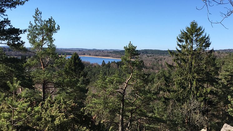 Utsikt över Hårssjön. Foto: Länsstyrelsen i Västra Götaland