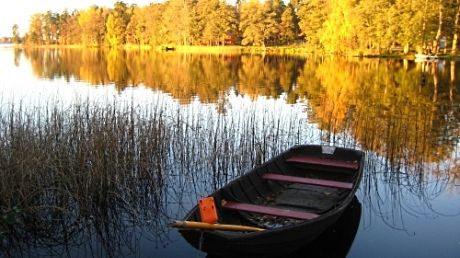 Osäker framtid för populära pengar