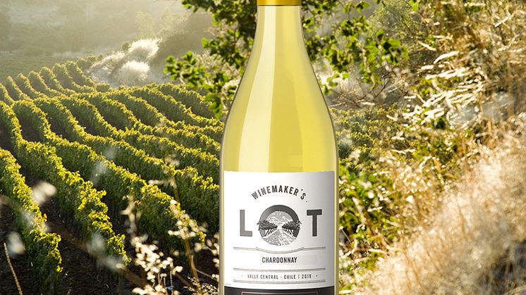 Guldvinnande Winemaker's Lot Chardonnay får en ny look