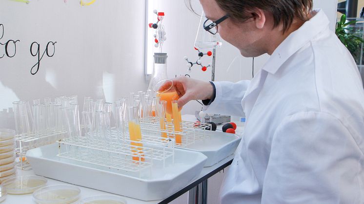 lab