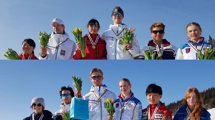 Foto: Felix Elofsson