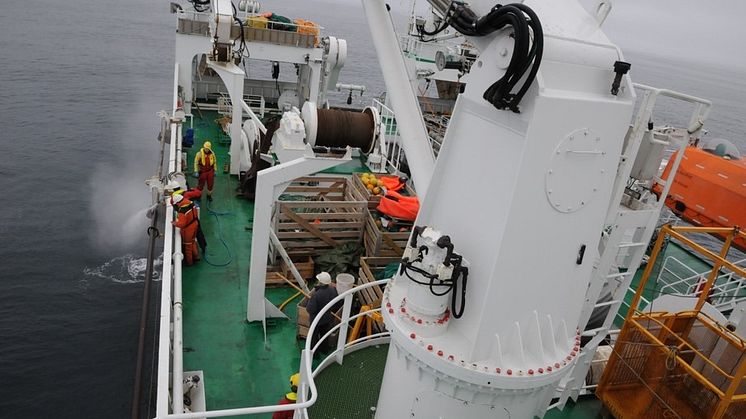 Preparation of long sediment cores retrieved from the bottom of the sea.Photo_Steffen_L_Jörgensen