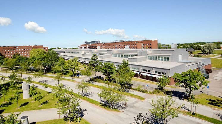 Stor satsning på nya solceller i Lund
