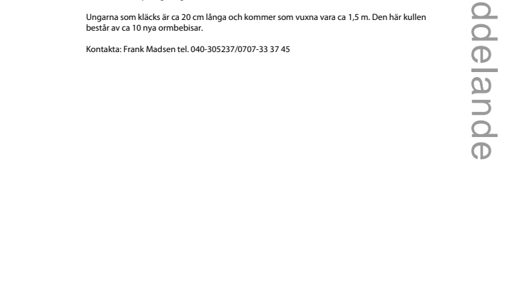 Nu kläcks äggen på Terrariet i Folkets Park…