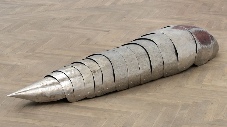 Kaja Lahoda, Exuviae/things stripped form a body, 2023