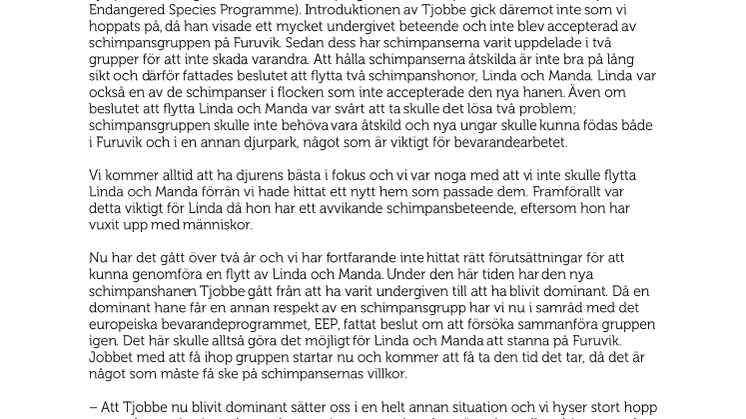 Flytten av schimpanserna Linda och Manda ställs in