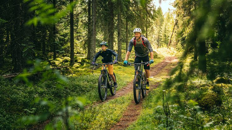 Biking Dalarna: Säfsen