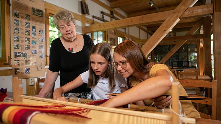 Dippoldiswalde_Schäferei Drutschmann_Handwerk_Familie_Foto TVE_Studio2media800A9477.jpg