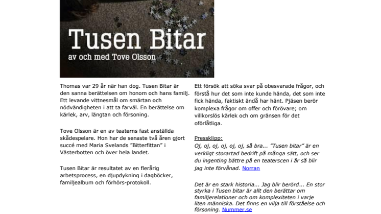 Tusen Bitar inleder höstens Café Insikten