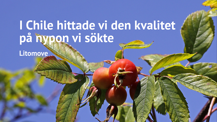 Kan nypon ta dig ett steg längre?