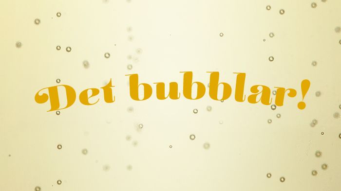 Bubblande goda tips till nyårsafton!