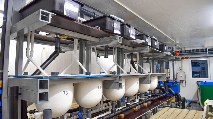 Lobster Farm Production Facility
