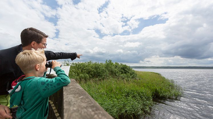 Fågelskådning invid Finjasjön och Hovdala Naturområde. 