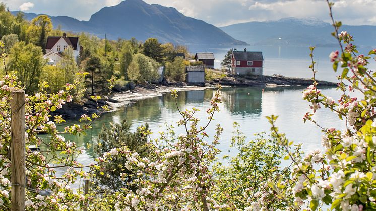 Hopp av og på båten underveis for å utforske fjordbygdene Lofthus, Aga og Nå.