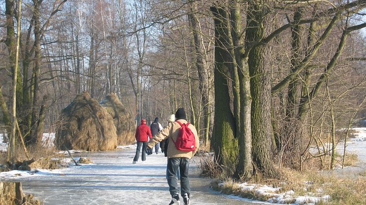 Skøjteløbere i Spreewald