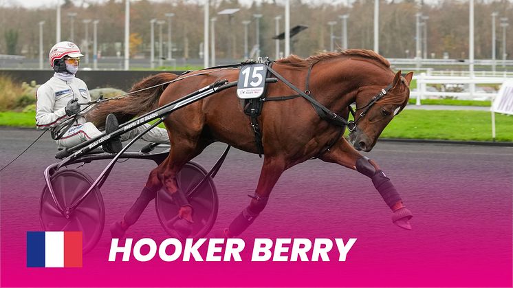 Hooker berry_1920x1080.jpg