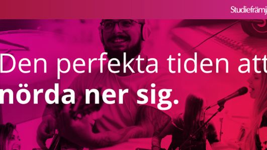 Studiefrämjandets kurskatalog är äntligen här.