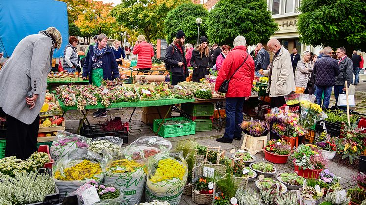 Bauern- und Regionalmarkt (c) Georg Angerer