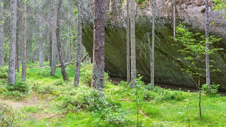 20244606-stort-klippblock-i-skogen.jpg