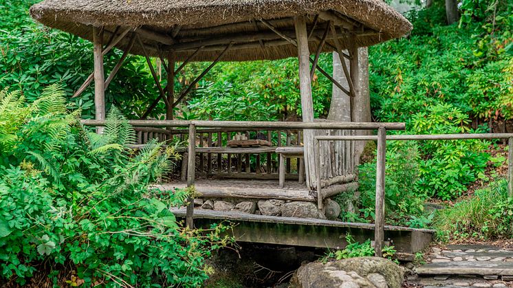 Japanska trädgården