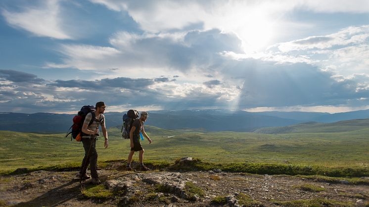 A mindful hike. The Gudbrandsdalsleden over Dovrefjell, one of the nine St. Olav's Ways. Photo: David Tett