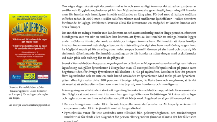 Nyår – hundens helvetesafton