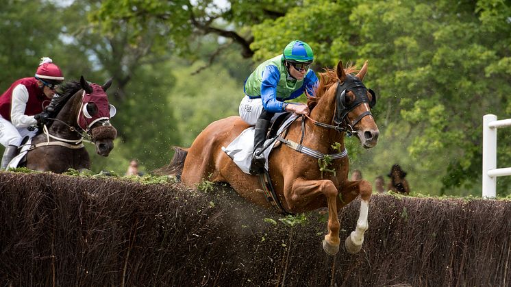 Svensktränade Truckers Glory tog hem Svenskt  Grand National förra året. Foto: Elina Björklund/Svensk Galopp