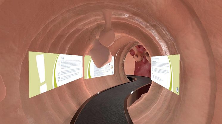 Blick in das VR-Darmmodell
