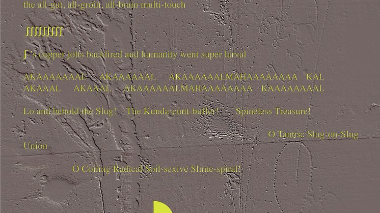 Lea Porsager, SLUG-MAGICK (2013, gray/yellow version 2021)
