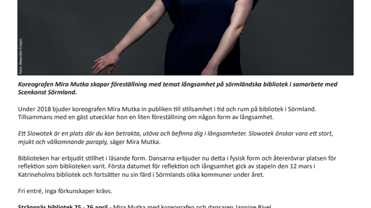 Slowotek på bibliotek