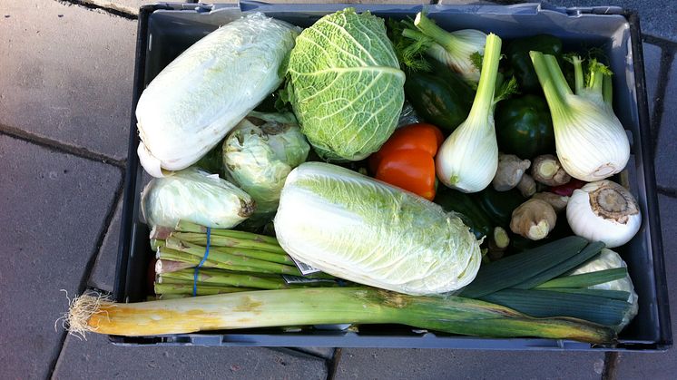 Stadsmissionen och Axfood öppnar Nordens första Social Supermarket