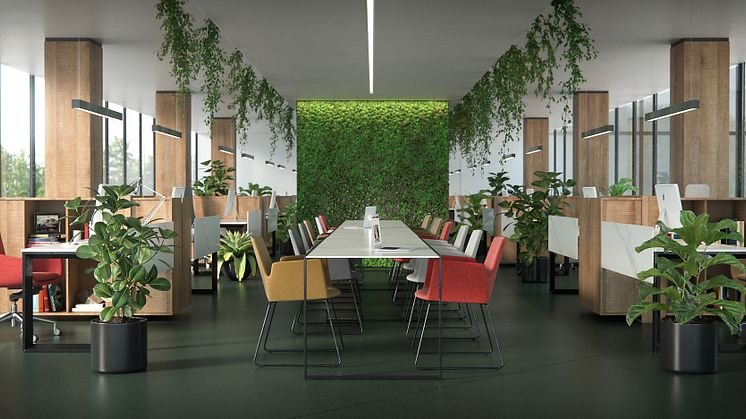 Dekton Office - Feroe