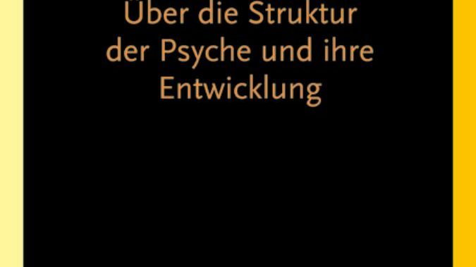 Affektlogik - Über die Struktur der Psyche und ihre Entwicklung