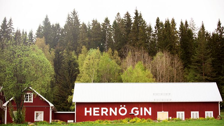 Hernö Gin ligger i en grönskande idyll i byn Dala utanför Härnösand. Årligen besöker tusentals besökare destilleriet för att uppleva platsen och ursprunget för Sveriges första renodlade gindestilleri.