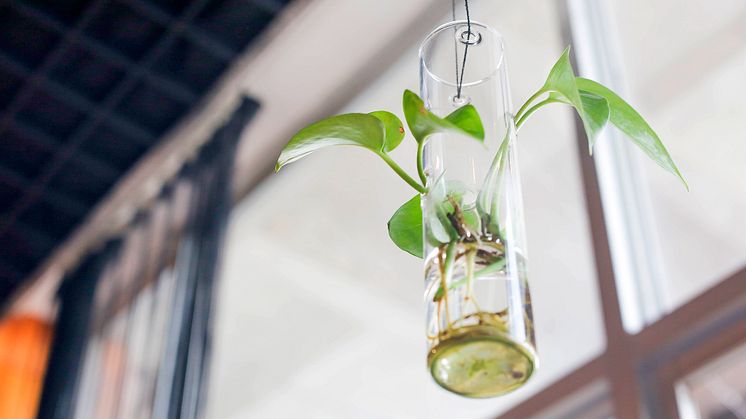 2019-06-11 Forskningens samhällsnytta i fokus. Foto: Pexels.