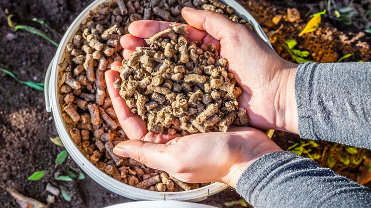 7 Fragen rund um Schafwollpellets