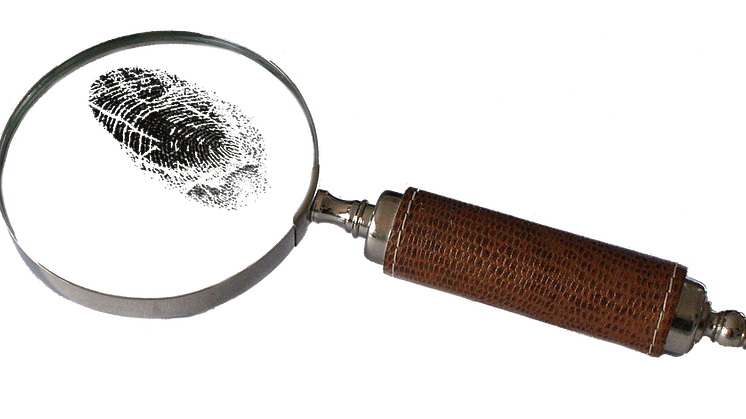 Foto: CC Pixabay