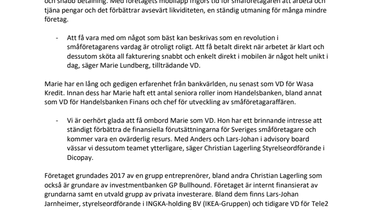 Borg, Jarnheimer och Lundberg till fintechutmanaren Dicopay
