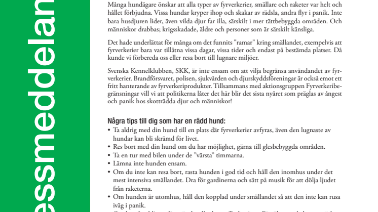 Välj bort smällarna på nyår!