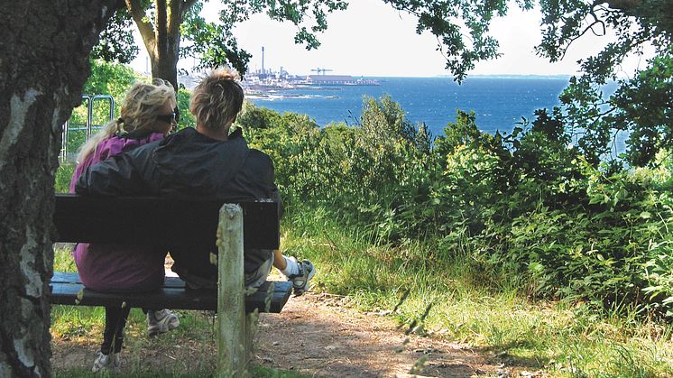 Öppet hus om utvecklingen av Pålsjö den 4 juni