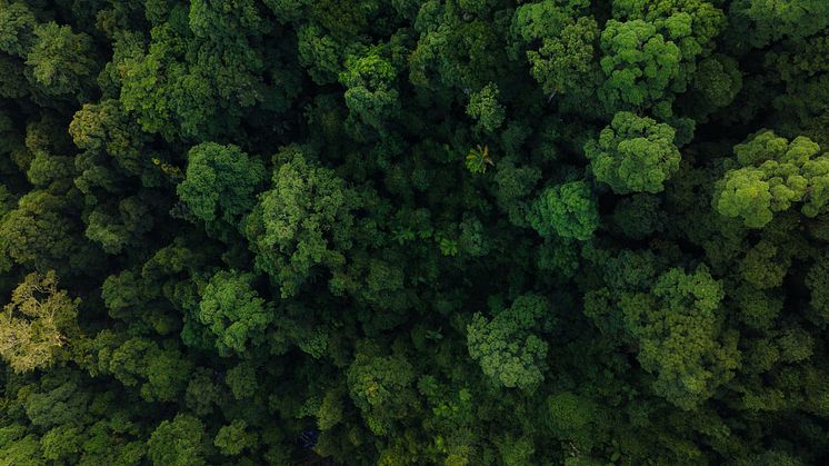 Mavic 3 Pro shot on 1x lifestyle