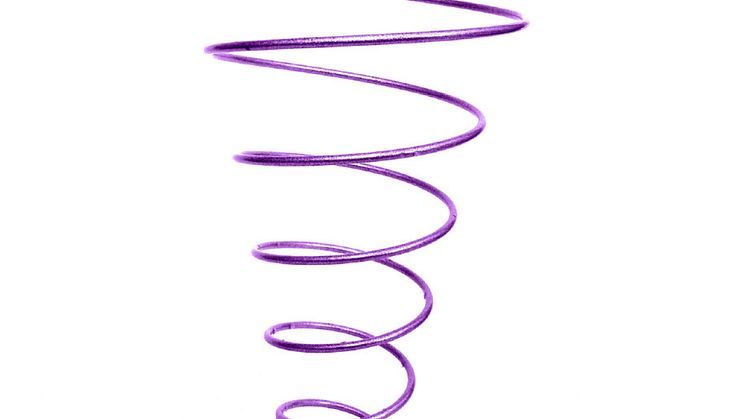flowerspring lila