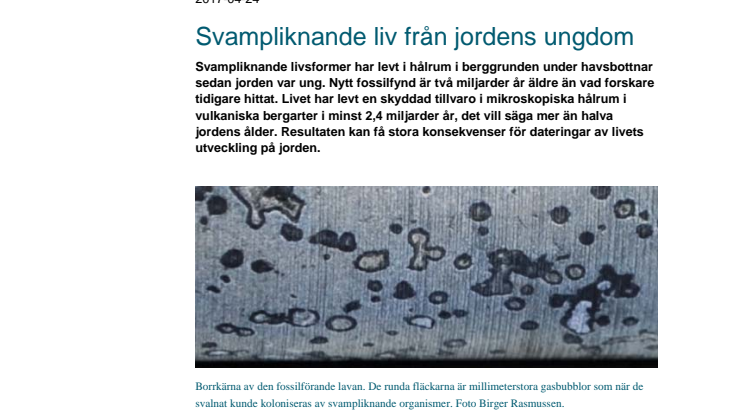 Svampliknande liv från jordens ungdom