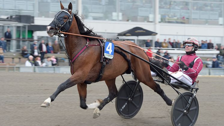 Rajesh Face. Foto: Lars Jakobsson, TR Bild. 