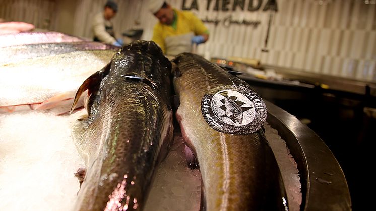 ​Tidenes toppnotering for torsken