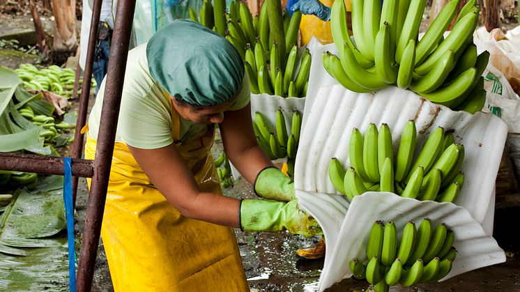 Lund firar World Fairtrade Day