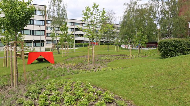 Frukthagen på Kringsjå Studentby