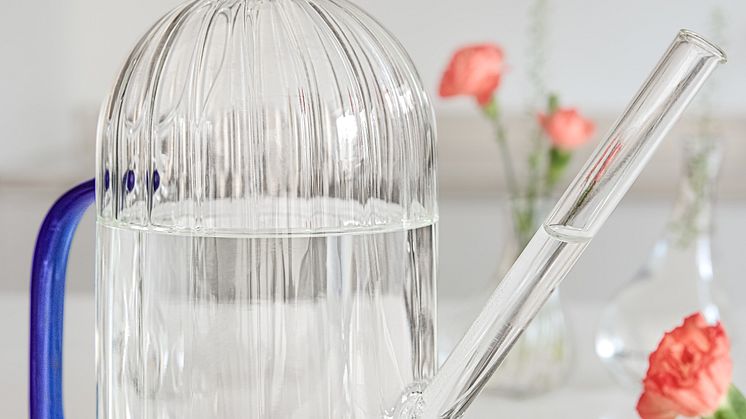 Rusta_2025_S3_pitcher_Flora-I.jpg