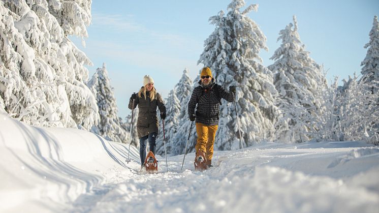 Oberwiesenthal_Fichtelberg_Winter_Schneeschuhwandern Foto TVE_Studio2media.jpg